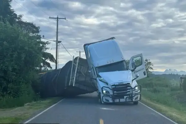 Шлепер полн со пчели се преврте на автопат- коментарите се неочекувани (ВИДЕО)