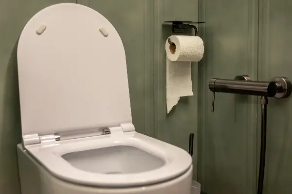 Ова сигурно не го знаете: Што се случува ако не го спуштите капакот од WC школката?