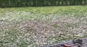 Невреме со силен ветер и град ја погоди Словенија, се движи кон Хрватска