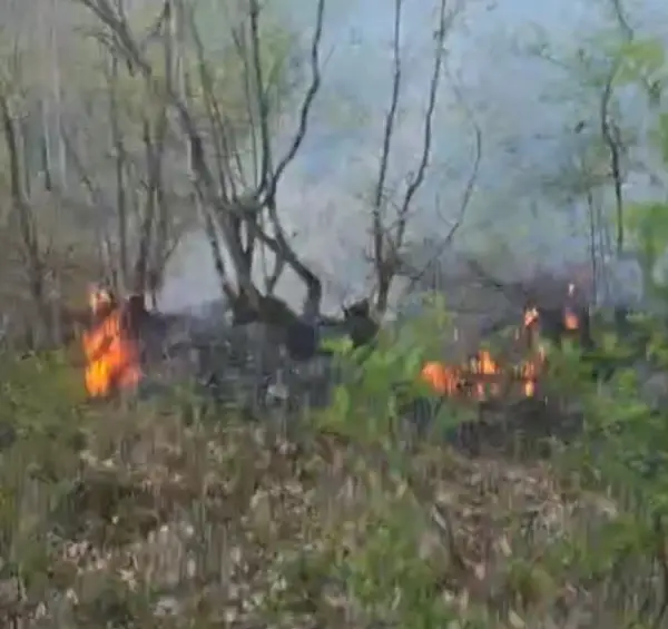 Пожар кај Глажња во Липково, екипите и денеска на терен