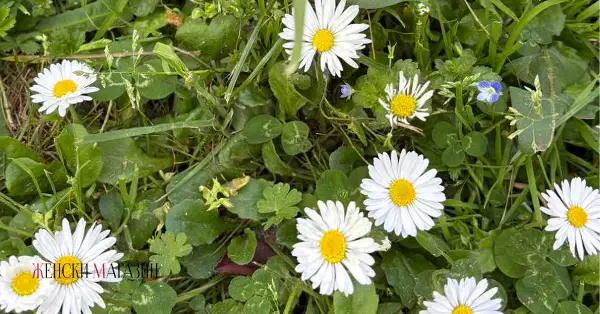 „Сѐ е убаво во април“ - Фотогалерија