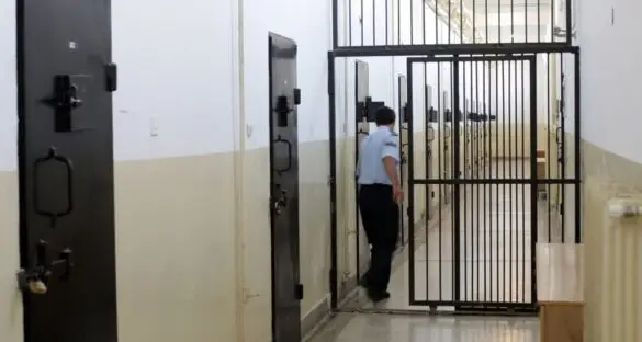 КПУ Затвор Струмица ја проширува економијата: Осудените лица започнаа со одгледување кокошки