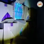 Царинска управа: Годинава за 11 милиони евра зголемена наплатата од увоз на тутун, во акции спречени осум обиди за шверц