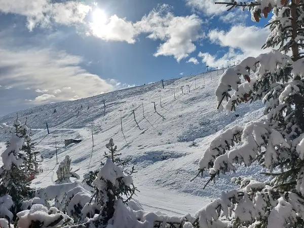 Си краделе струја на Попова Шапка – треба да платат над 22.000 евра