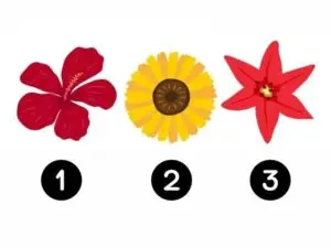 Тест на личноста: Изберете цвет и дознајте што ви порачува вашиот внатрешен глас