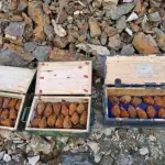 Ангелов: Во Битола, на Тумбе Кафе пронајдени 1.067 неексплодирани убојни средства од Првата Светска војна