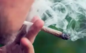Откриен нов несакан ефект од пушењето марихуана — 70 отсто од корисниците имаат проблеми со помнењето