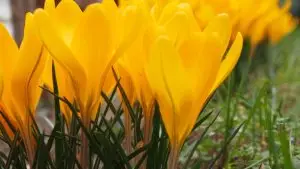 Сончево и потопло време, температури до 23 степени