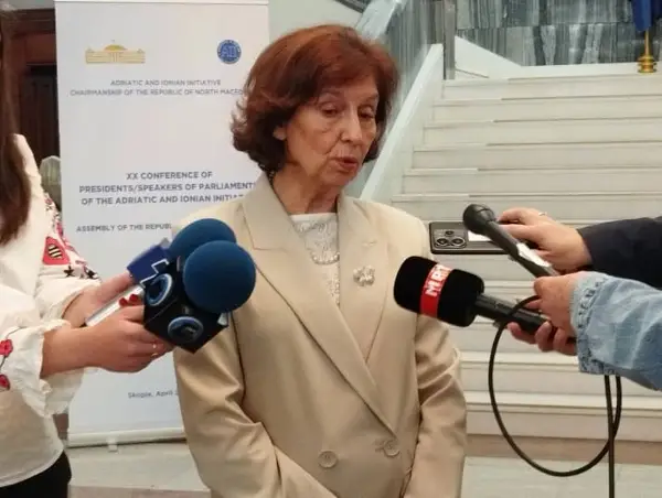 Сиљановска-Давкова поддржува укинување на техничката влада, двојно државјанство вели не треба да имаат сите функционери