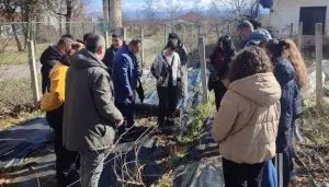 Житница без наследници