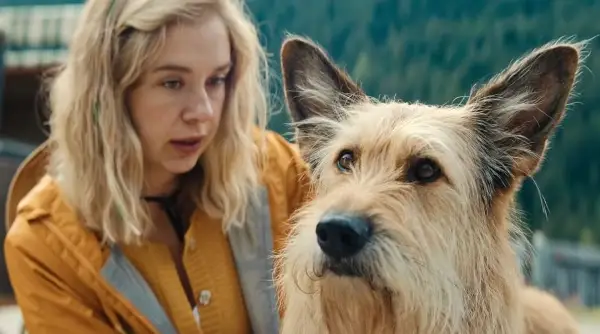 Нови филмови на „Нетфликс“ создадени за опуштање