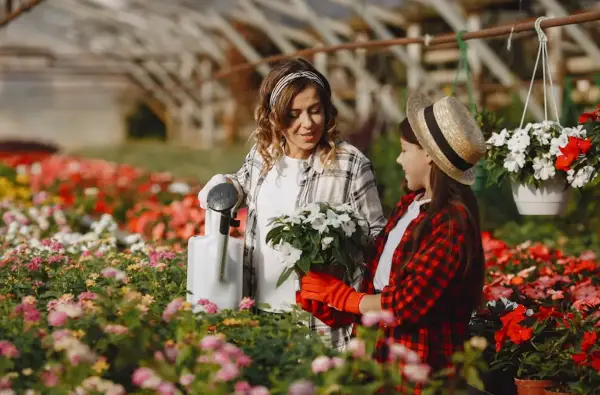 Не ја фрлајте водата од тестенините и зеленчукот: ќе ги направи вашите растенија побујни, посилни и поздрави