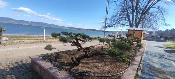 Кривична за екс директорка од Дојран: Активирала паркинг зона без согласност од институциите и оштетила граѓани за околу 240 илјади денари