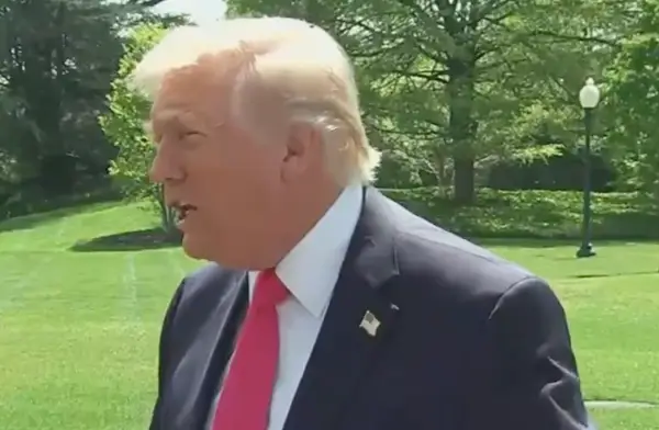 Трампова одмазда кон Британија: Што се случува со Фолкландските Острови?