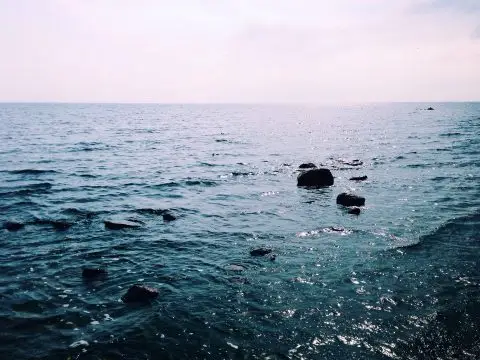 Тројца убиени во напад на американските сили врз чамец осомничен за превоз на дрога