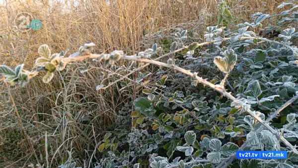 Во Берово утрово температурата беше нула