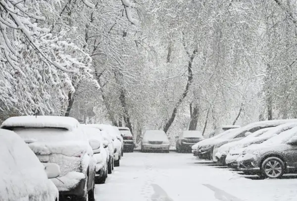 Видео- фото: Москва под снег