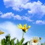 Денес сончево, од утре повторно дожд