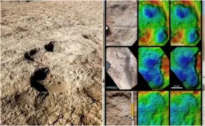 ВИДЕО | Отпечатоци од човечки стапала стари 115.000 години пронајдени среде пустина