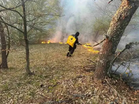 Пожари во Ваксинце и Арбанашко, опожарени околу дваесетина хектари шума