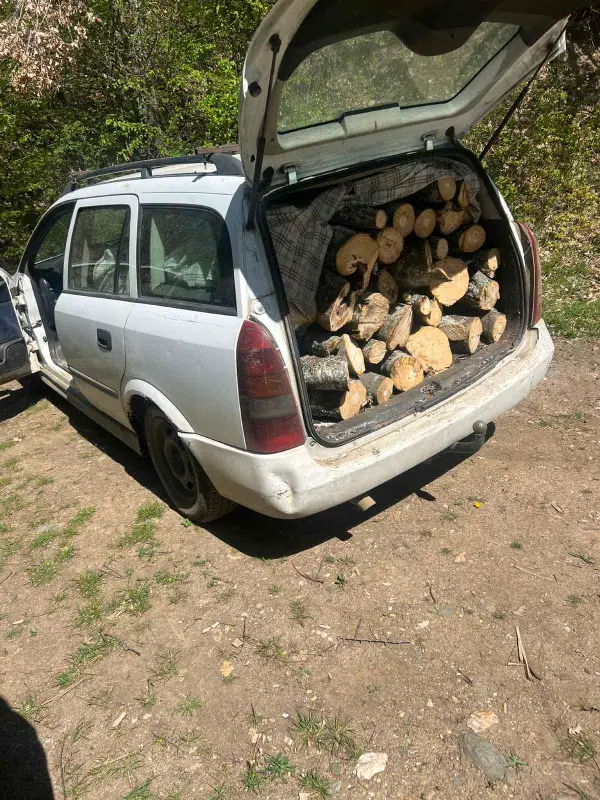 Уапсен дрвокрадец од Скопско – возел дрва со автомобил со тетовски таблички