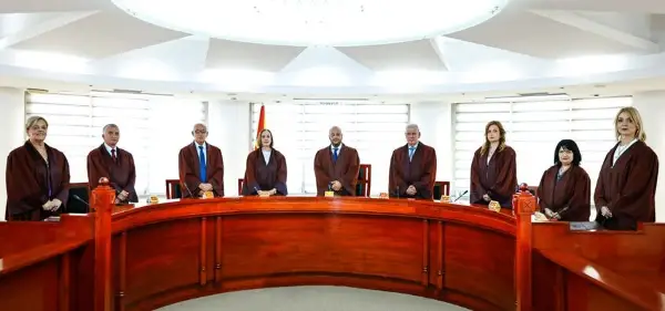 Уставен суд: Предметот е за договорот, не за културните работници