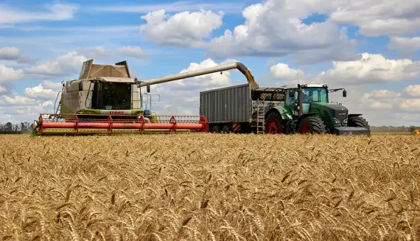 ЗЕЛЕНСКИ МУ СЕ ЗАКАНИ НА ИЗРАЕЛ СО САНКЦИИ „Купувате жито што Русија го украде од нас“