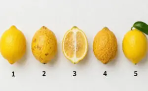 Тест на личноста: Лимонот што најмногу ве привлекува открива што ве „кочи“ во животот