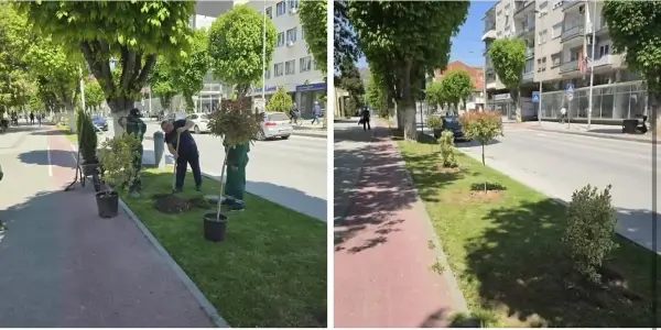 Општина Прилеп со активности за разубавување на зелените површини во градот