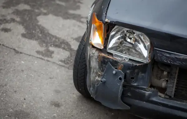 Автомобил слета од патот и се преврте, причината е – мачка (ФОТО) 