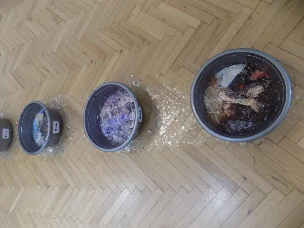 Пејковски: Во време на глобална бучава, Исмет Рамиќевиќ ја враќа тишината како активен, значаен и длабоко човечки чин на отпор и трансформација