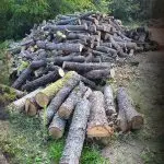 Бесправна сеча на огревни дрва во прилепско