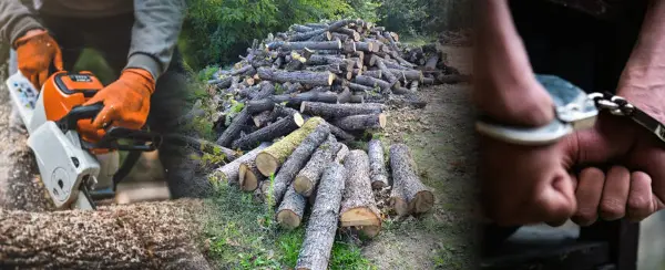 НАЈЧЕВСКА КОНТРА ТАРАВАРИ: Тоа што се случи во 2001 година беше акт на терор