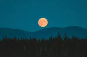 Што носи полната Месечина на 1 мај за вашиот хороскопски знак?