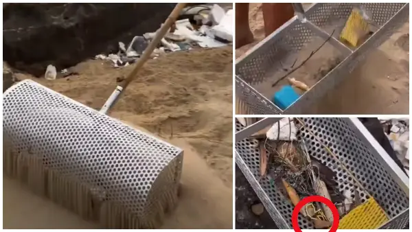 Вирално видео: Што наоѓа чистачот на плажа во Дубаи во песокот?