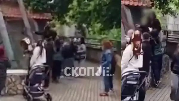 (Видео) Нов инцидент во ЗОО Скопје: Девојка се качи на оградата кај мајмуните, вработена интервенираше