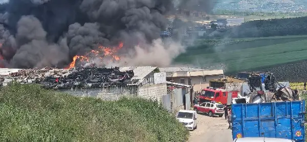 Под контрола е пожарот во Визбегово, пожарникарите, вработените и газдите гаснат со цистерн и тешка механизација