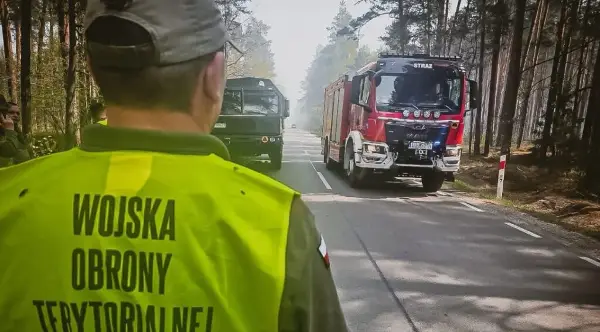Голем шумски пожар во Полска, загина пилот на авион за гасење