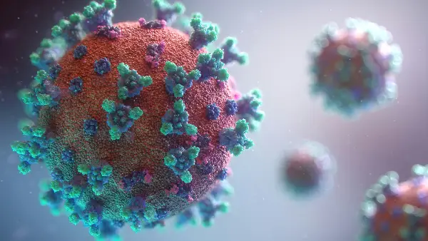Во Франција 42-дневен карантин за 22 лица кои биле во контакт со заразени од хантавирус