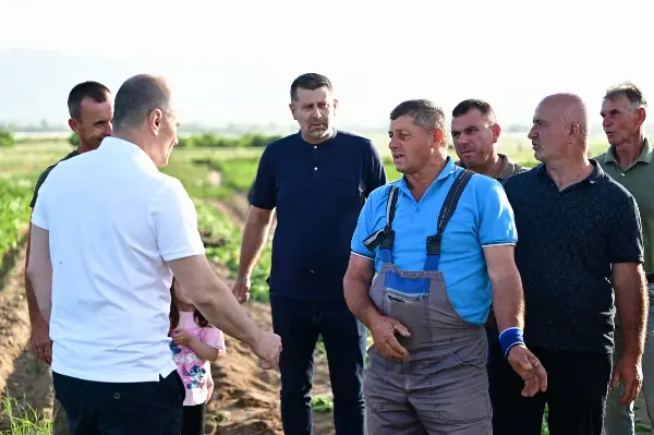 Филипче од Босилово: Земјоделците трпат огромни загуби, откупните цени паднаа за 30%