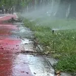 Прскалките на Васко Карангелевски ја поплавија велосипедската патека