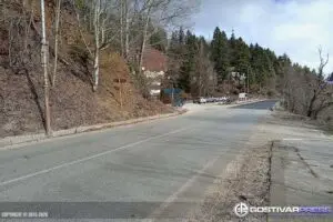 На патот Маврово-Дебар најдена угината мечка со рана од оружје