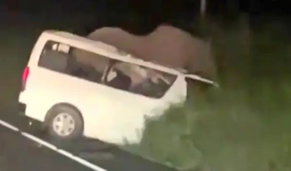Тројца загинале во Уганда- се судриле со слон 