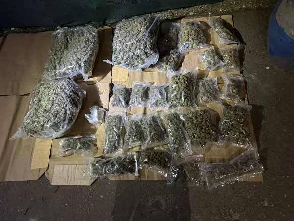 Во БиХ запленети 40 килограми дрога пристигната преку пристаништето Плоче
