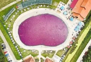 ФОТО | Феномен во близина на Македонија — „розово море“ со лековита вода, единствено во регионот