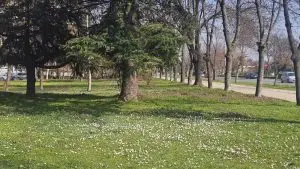 Топло до 32 степена, утре дожд