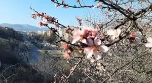 Сончево и топло, попладне нестабилно во планинските предели