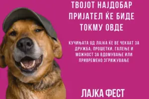 Викендов „Лајка фест“ во Градскиот парк