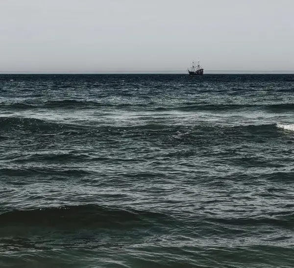 Фото: Што исфрли Црното море, страшната глетка видена во Одеса и во Бугарија и Романија 