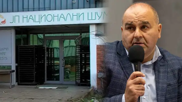 КРИВИЧНА ПРИЈАВА ЗА ПОРАНЕШЕН ДИРЕКТОР НА НАЦИОНАЛНИ ШУМИ - склучувал договори за продажба на дрва по пониски цени